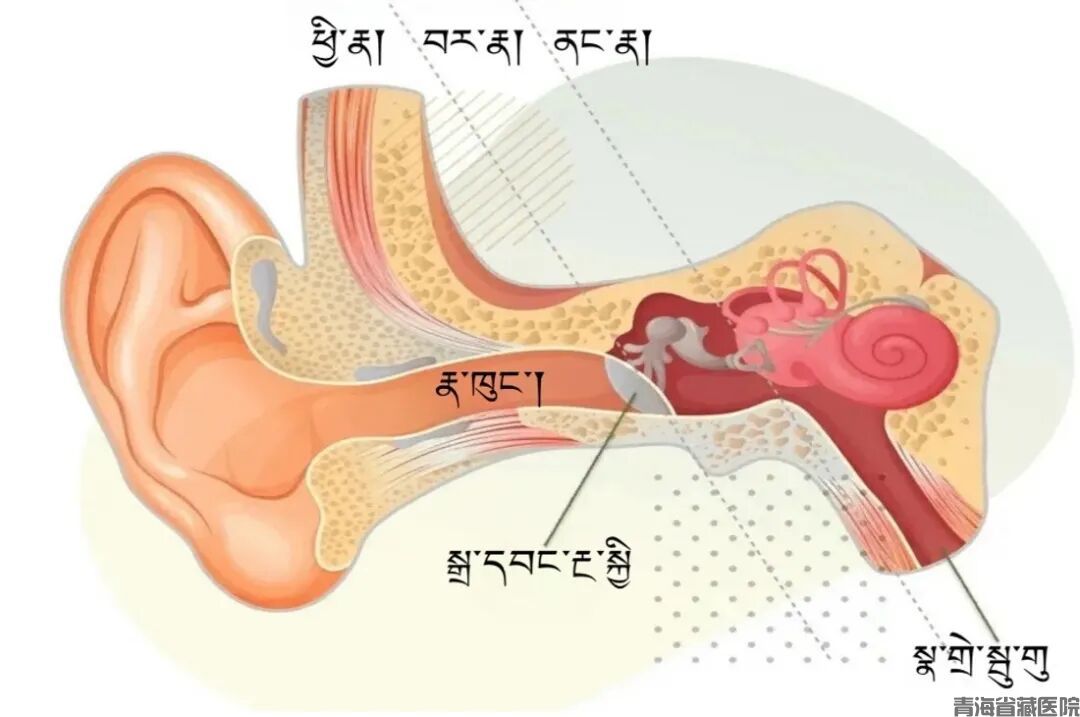 图片 1.jpg
