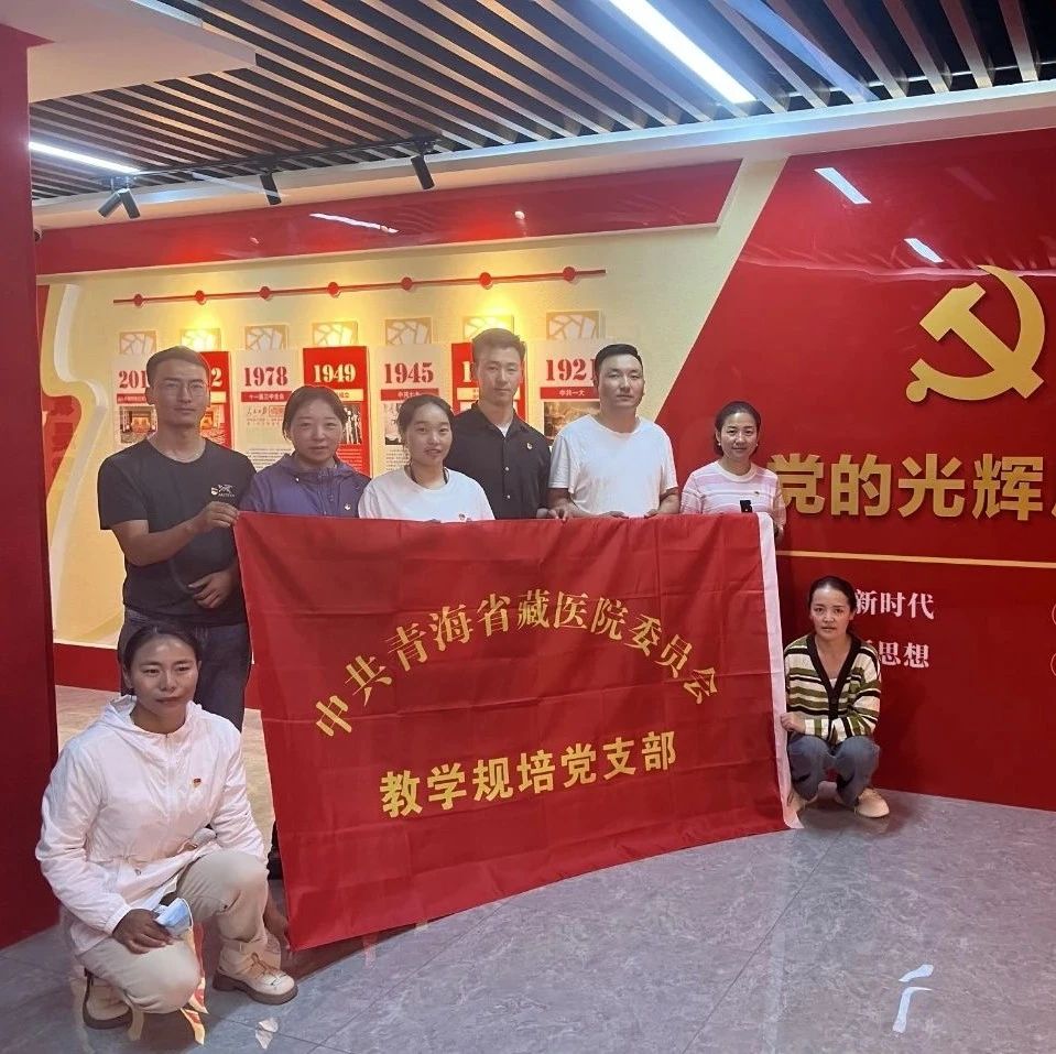 【榜样风采录】你我身边的先进基层党组织风采（二）