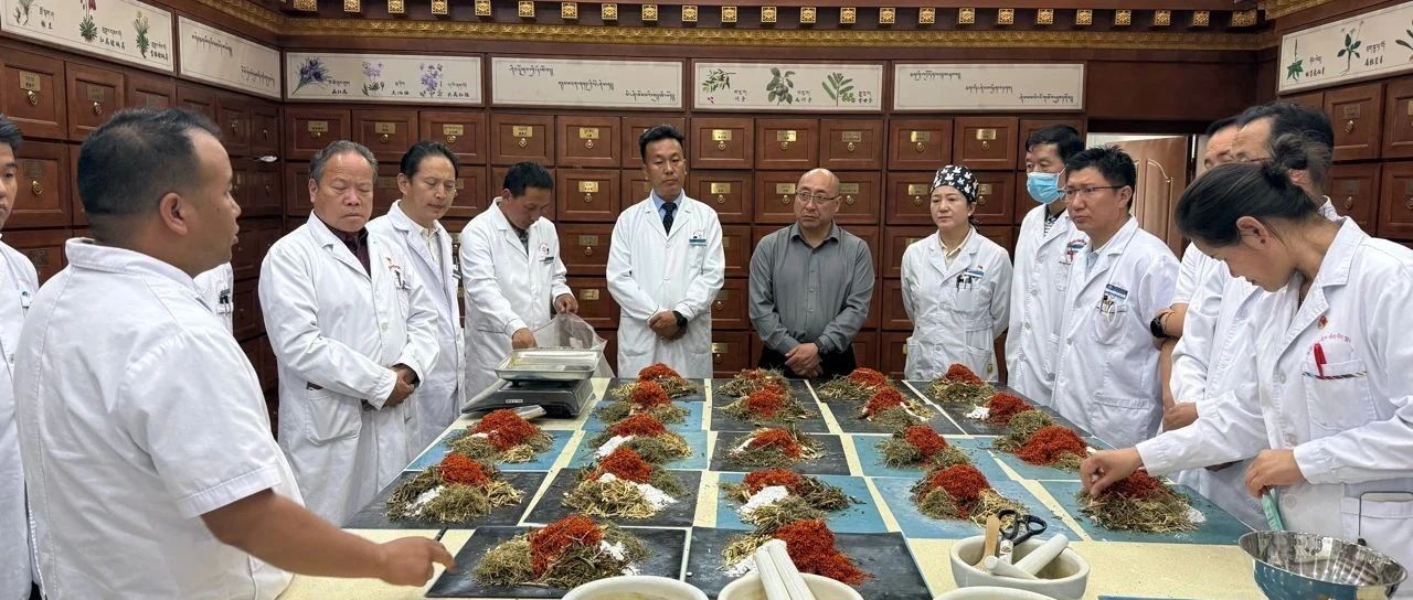 【关注】我院召开藏药饮片调配试点经验分享会